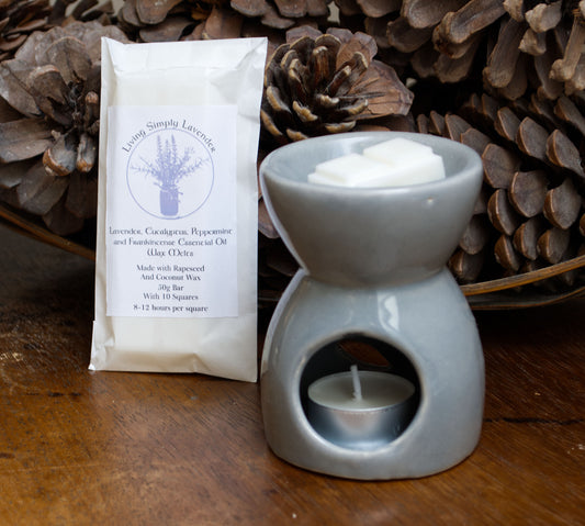 Lavender, Eucalyptus, Peppermint and Frankincense Essential Oil Wax Melts