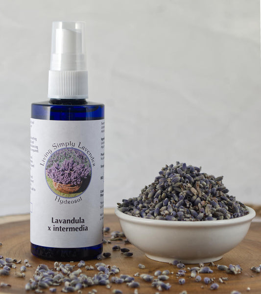 Lavender x intermedia Lavandin Theraputic Hydrosol 99.9% Natural